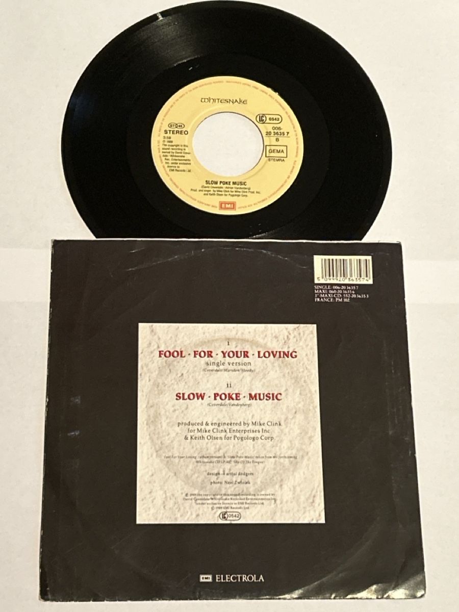 Dischi in vinile: Whitesnake. 1989. Fool • For • Your • Loving – Usato da Faulensee venduto da Mizuno06 1
