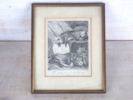 Kupferstich Ridinger Stich 1740 Löwe Kunst Bild Antik