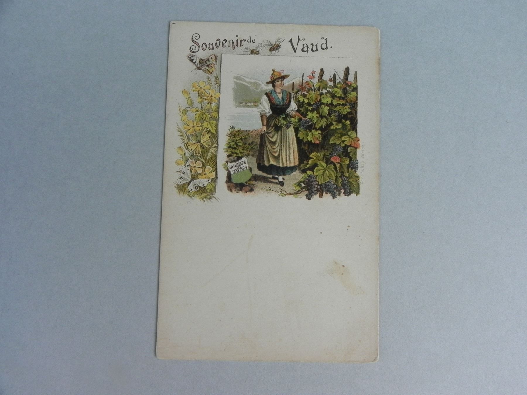 Ansichtskarten: Carte Costume Vaudoise Vigerons VD Vins – Gebraucht aus Siebnen von krimsie