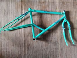 VINTAGE Mountainbike Alien Rahmen Neu