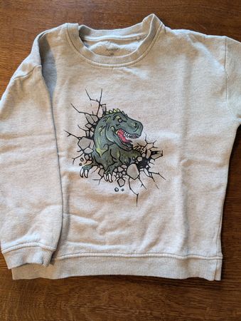Manor Kids Dino-Pulli, Grösse 110, Bio Baumwolle 