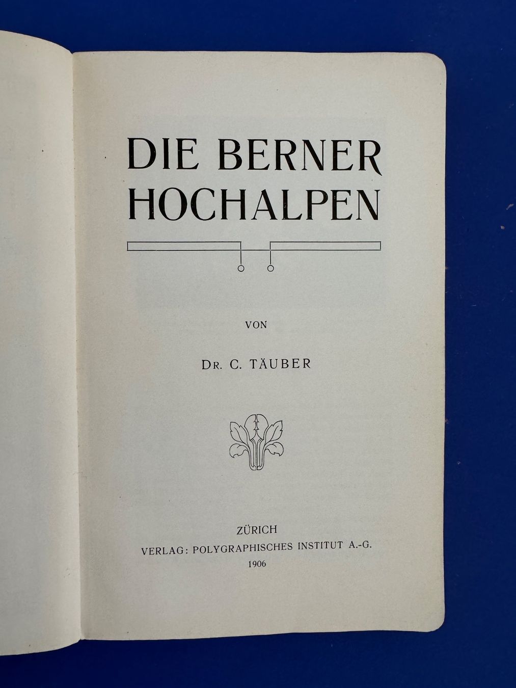 Libri: Täuber - Die Berner Hochalpen. 1906 – Usato da Adliswil venduto da buch_und_kunst 4