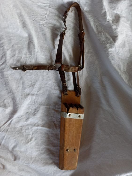 Flûte de Pan Plaschke Premium avec sabot, set avec sacoche, livret