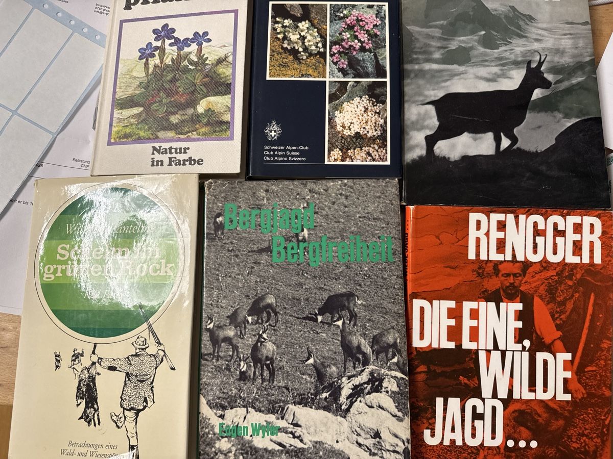 Libri: 6 📚 Bücher  – Usato da Neuhausen am Rheinfall venduto da Herufe