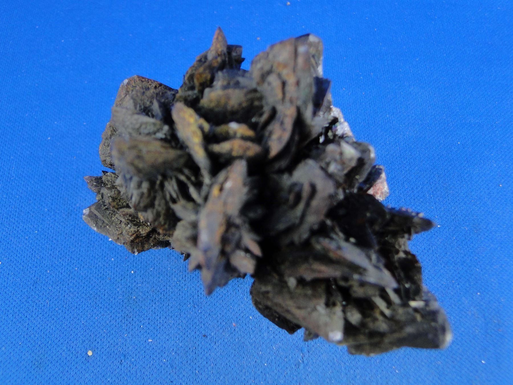 Minerali & Pietre curative: Descloizite – Usato da Schinznach Bad venduto da Demerald 8
