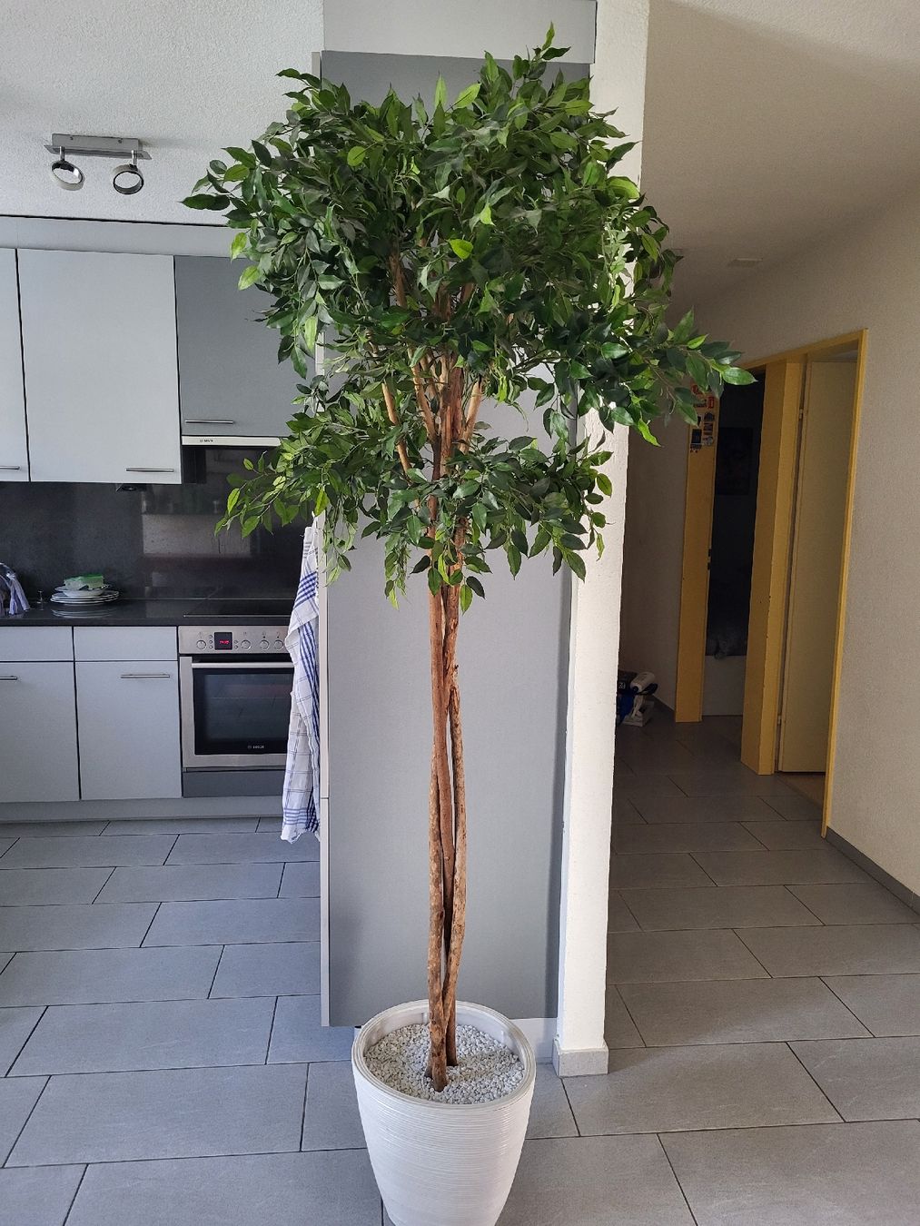 Toutes les décorations: kunstpflanze – D'occasion à Effretikon par Danelladekolicious