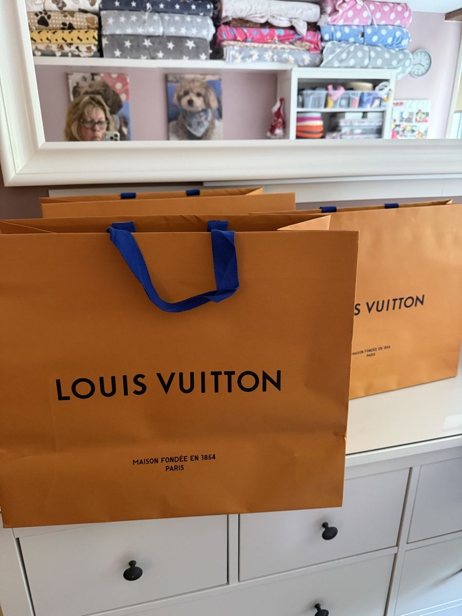 Louis Vuitton Taschen für Damen: LV Papiertaschen Original  – Gebraucht aus Horgen von Pezi8810 1