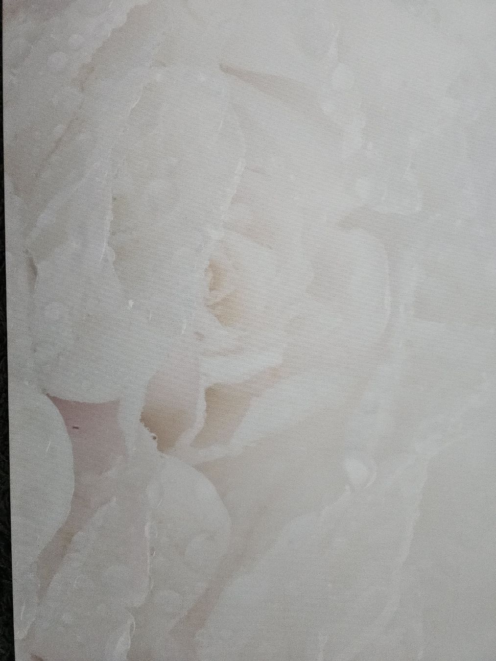 Foto & Immagini: Grosses Wandbild, Blumen, Leinwand, Bild – Usato da Zürich venduto da sav_8c2f 2