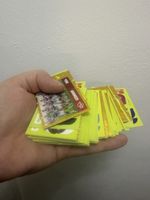 Panini