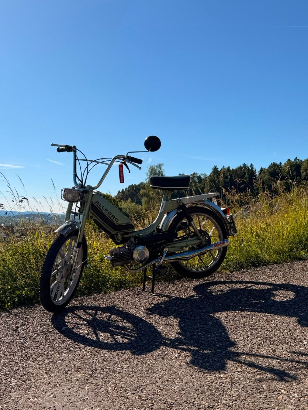 Puch Ciclomotori: Puch Allegro GS1 – Usato da Wetzikon ZH venduto da ALBEX1012