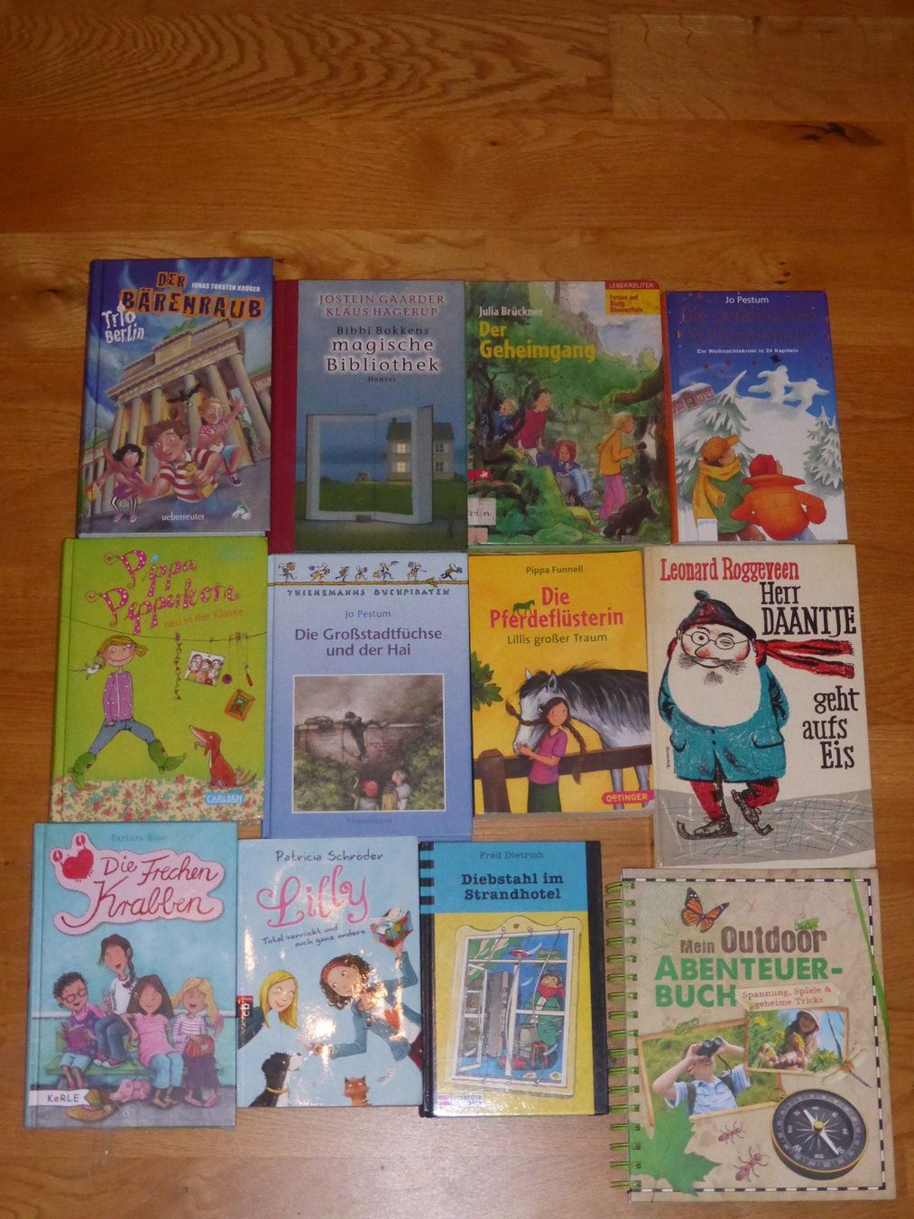 Bücher: Grosses Bücher Paket – Gebraucht aus Kefikon TG von sandragruen