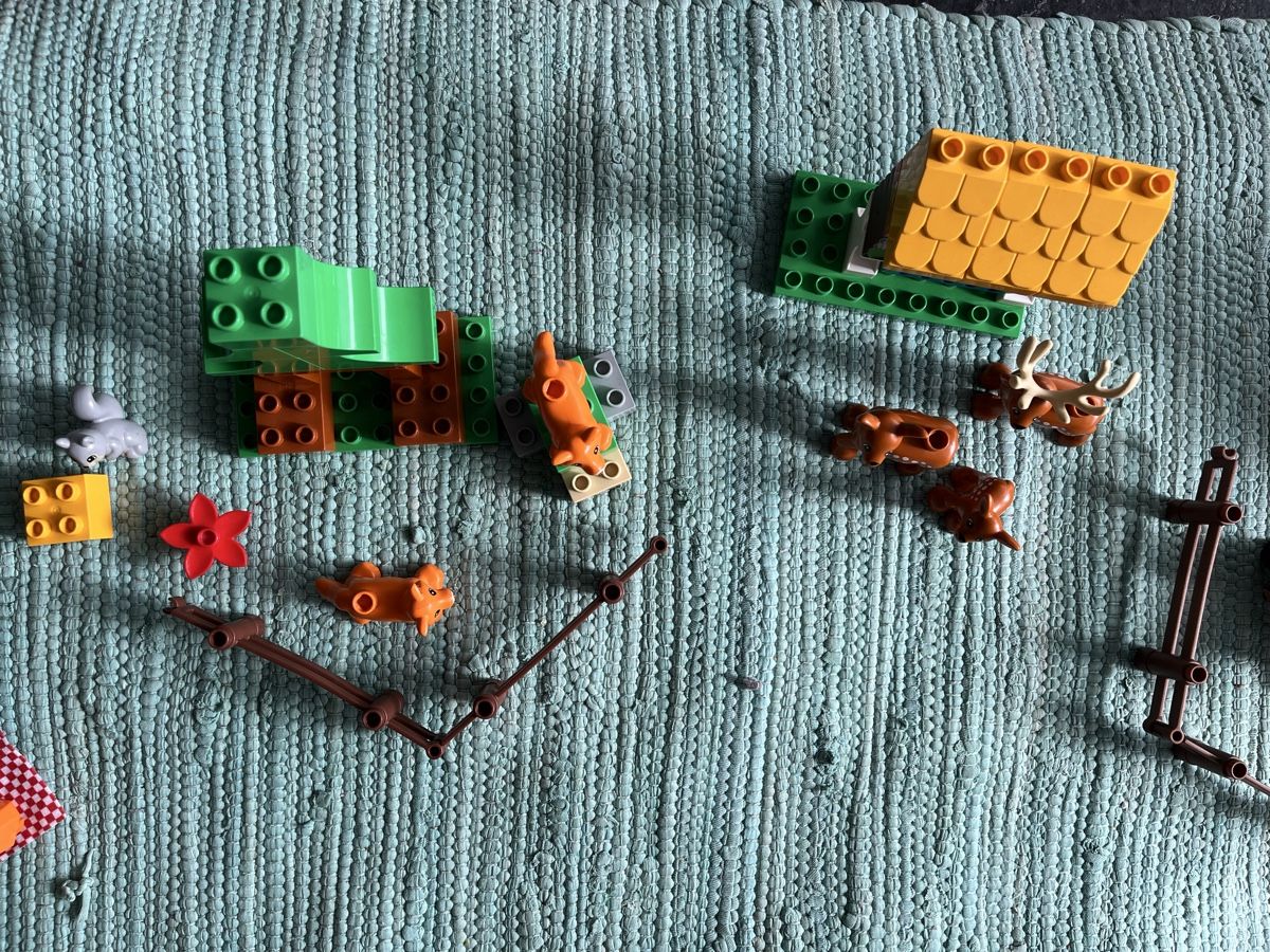 Lego Giocattoli: Lego Duplo Wildpark – Usato da Kirchberg BE venduto da qualle01 3