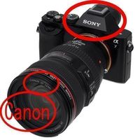 Objektivadapter EOS-NEX Canon Objektiv