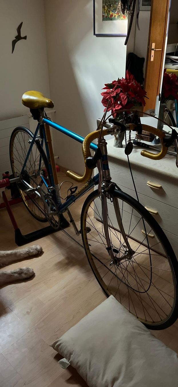 Velos: Vintage Renn Velo mit trainingwalze – Gebraucht aus Safenwil von mme_md5k