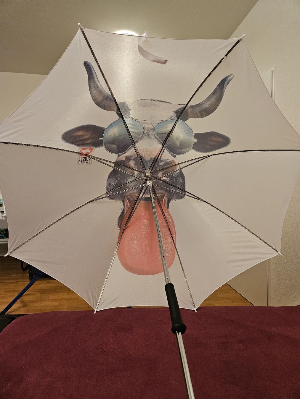 Parapluies: Picnic/Garden Umbrella – Neuf (Voir description) à Basel par yat_r699 4