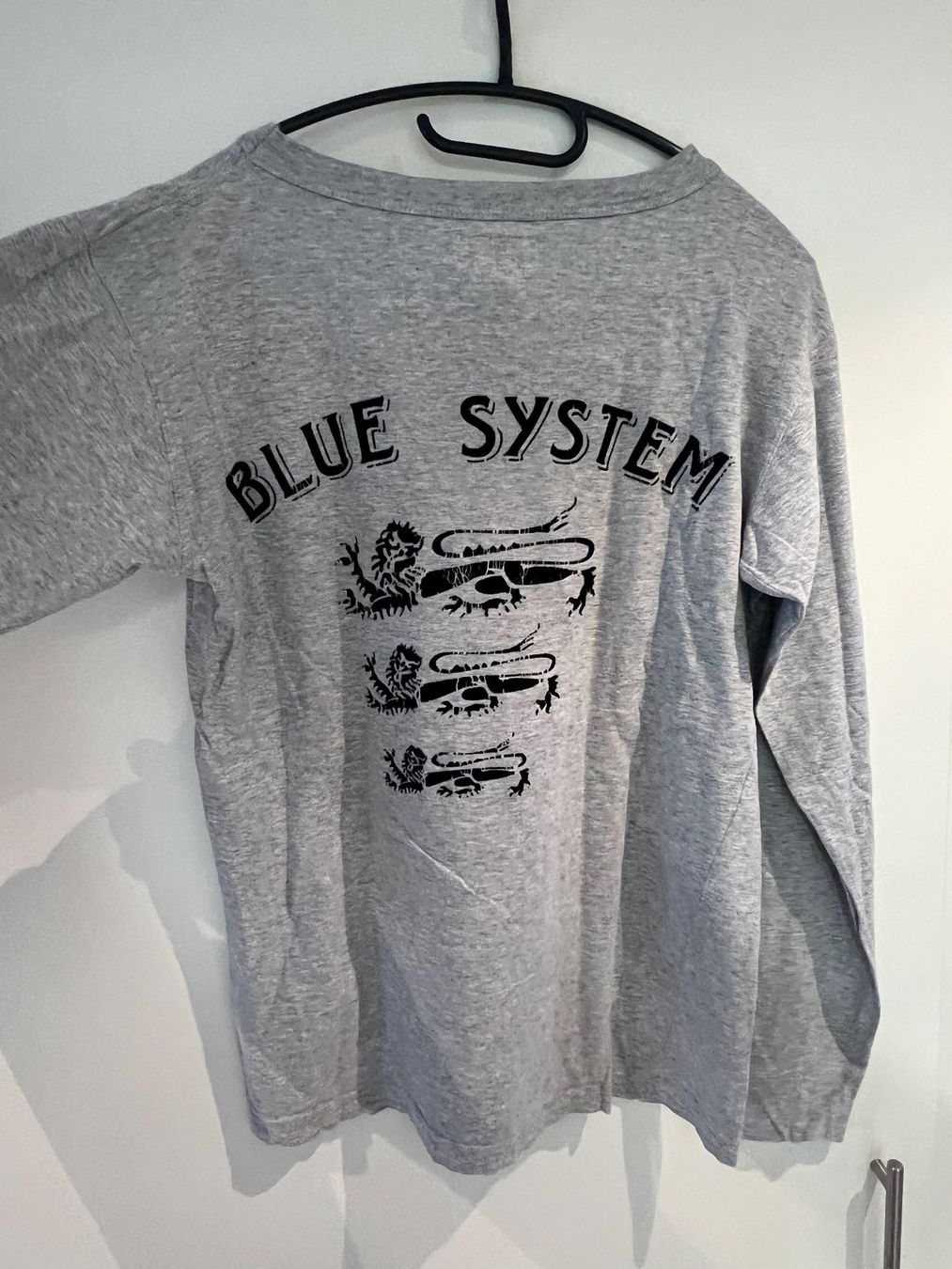 Maglioni & Felpe: Blue System Longsleeve – Usato da Dielsdorf venduto da Anthony111 2