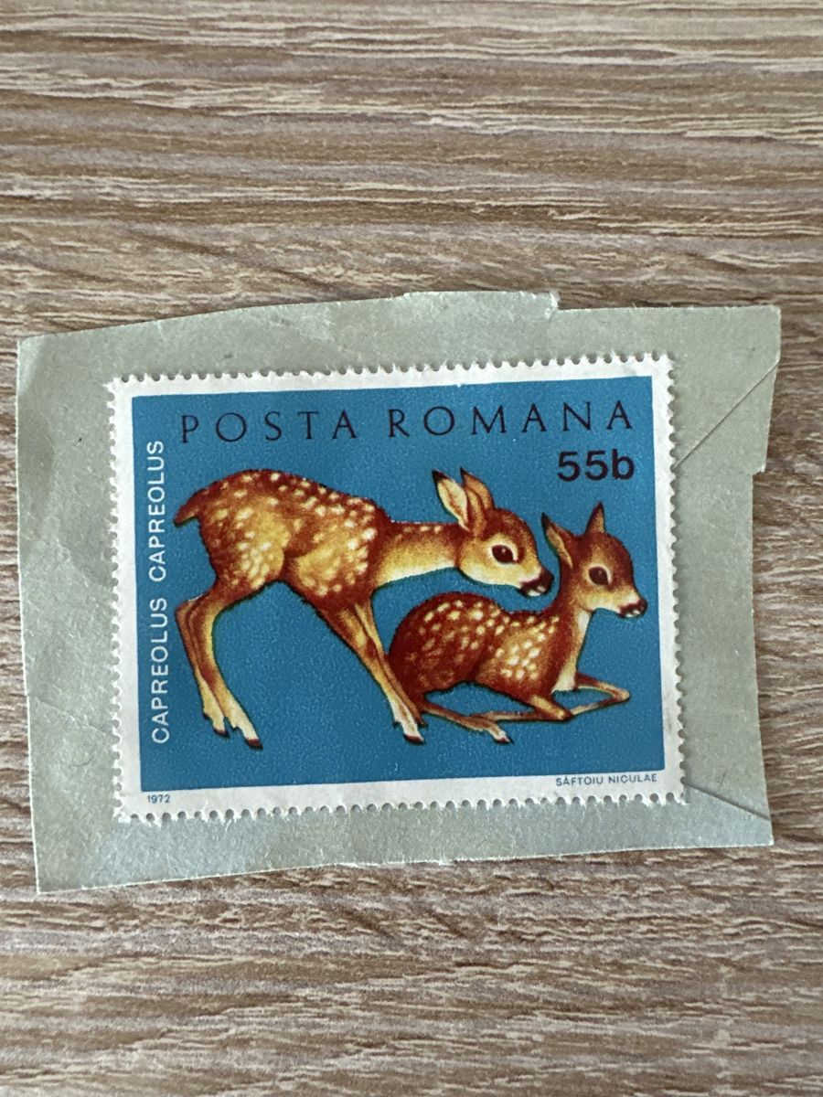 Tutti i francobolli: Capreolus Posta Romana 1972 UNGESTEMPELT – Usato da Comano venduto da saaaale
