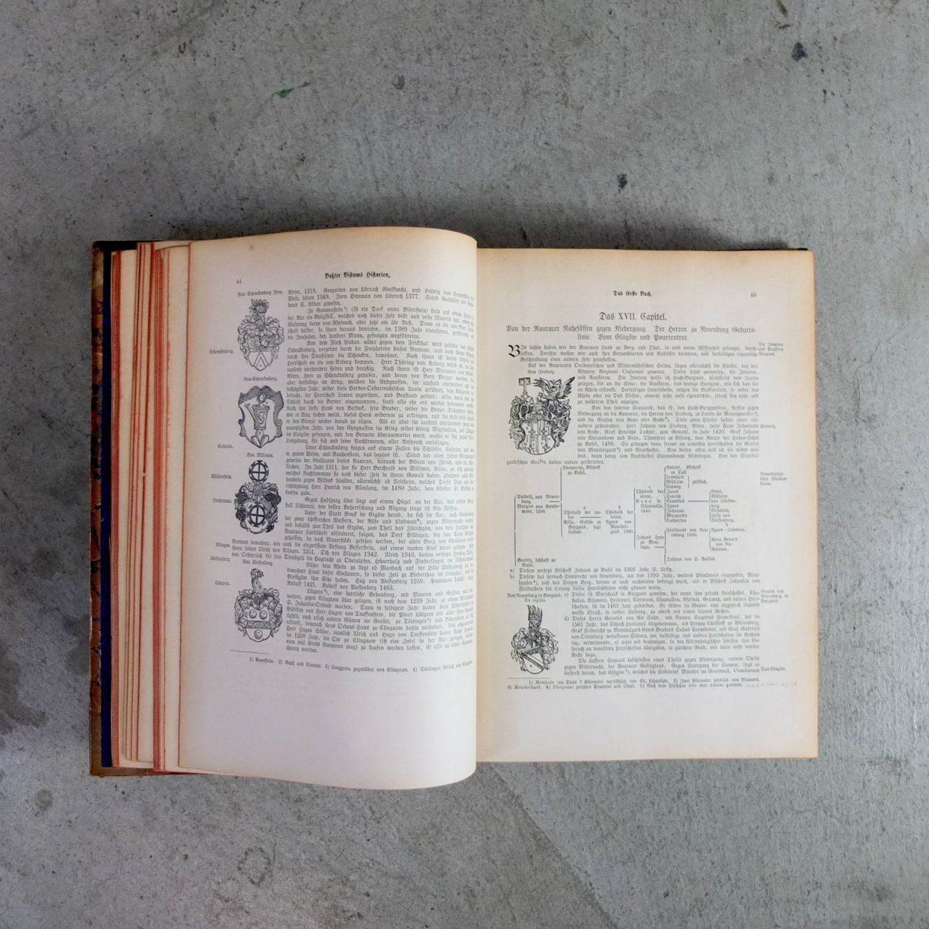 Libri: Basler Chronik, Daniel Bruckner, 1588/1765/1883 – Usato da Basel venduto da Brocki-auf-dem-Wolf 4