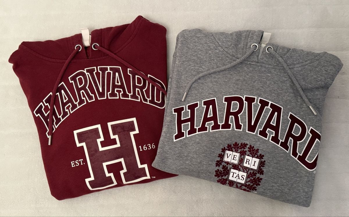 H&M Maglioni & Felpe: Hoodie Harvard, Grösse M – Usato da Haldenstein venduto da ana_b8c7