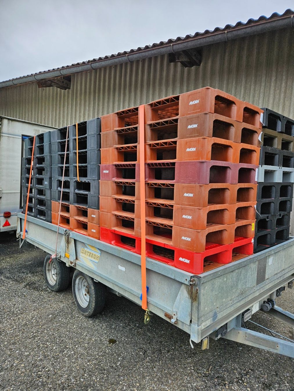 Pallets: Kunstoff Paletten – Usato da Burgdorf venduto da Margrit00 1