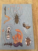 AK neu Illustration Pilz Royal Botanic Gardens Fungarium