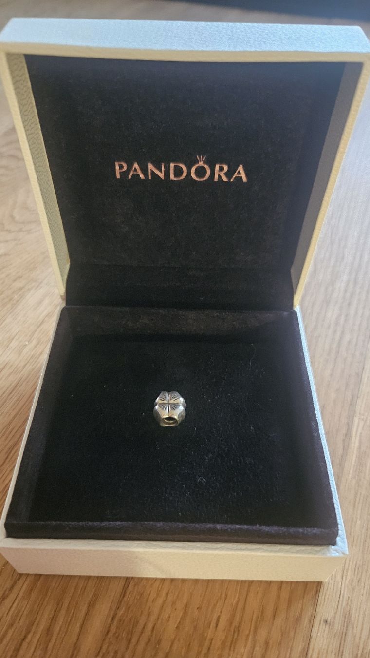 Pandora Anhänger: Pandora Shamrock Charm – Neu (gemäss Beschreibung) aus Bern von chiaramerchi