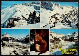 ENGELBERG Luftseilbahn Trübsee - Luftseilbahn Titlis