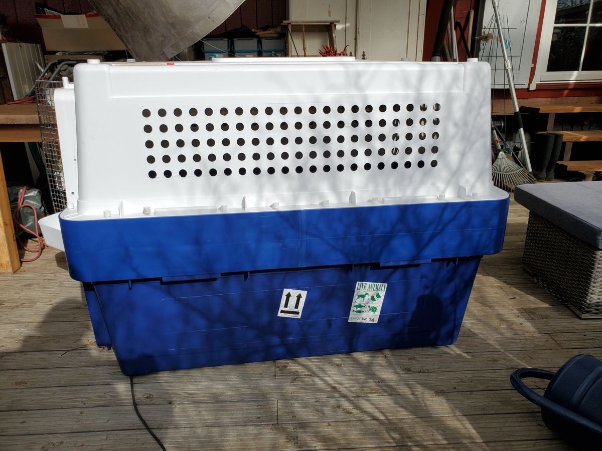 Cucce & Letti: XXL Hunde Transportbox - PP90 extended – Usato da Basel venduto da Froeschli 4