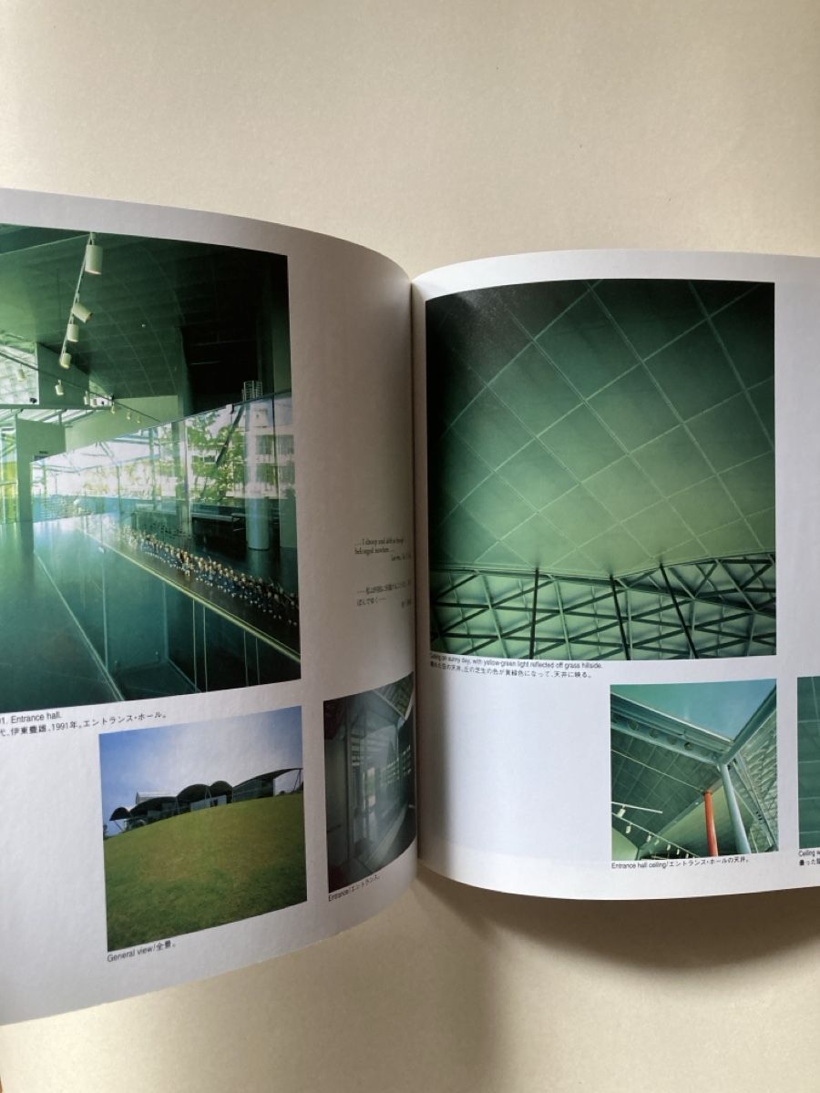 Libri: Architektur Buch: Light in Japanese Architecture – Usato da Zürich venduto da 000rk 1