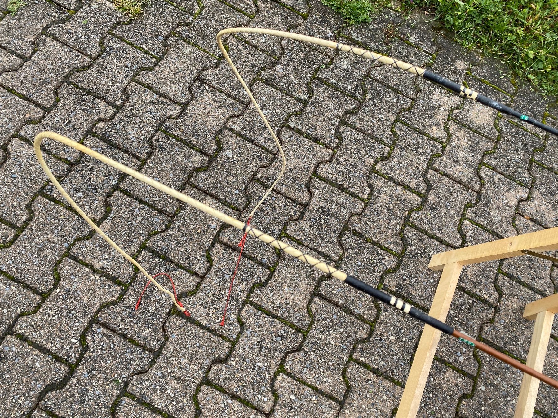 Carrozze: 2 schöne Fleck Bogenpeitschen – Usato da Feldbach venduto da Fea1 8