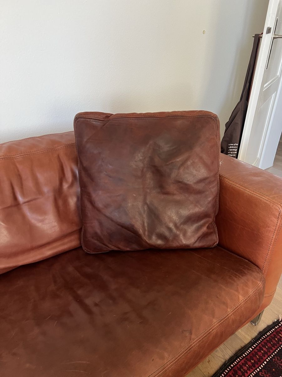 Minotti Coussins: Minotti Lederkissen – D'occasion à winterthur par Cw5 2
