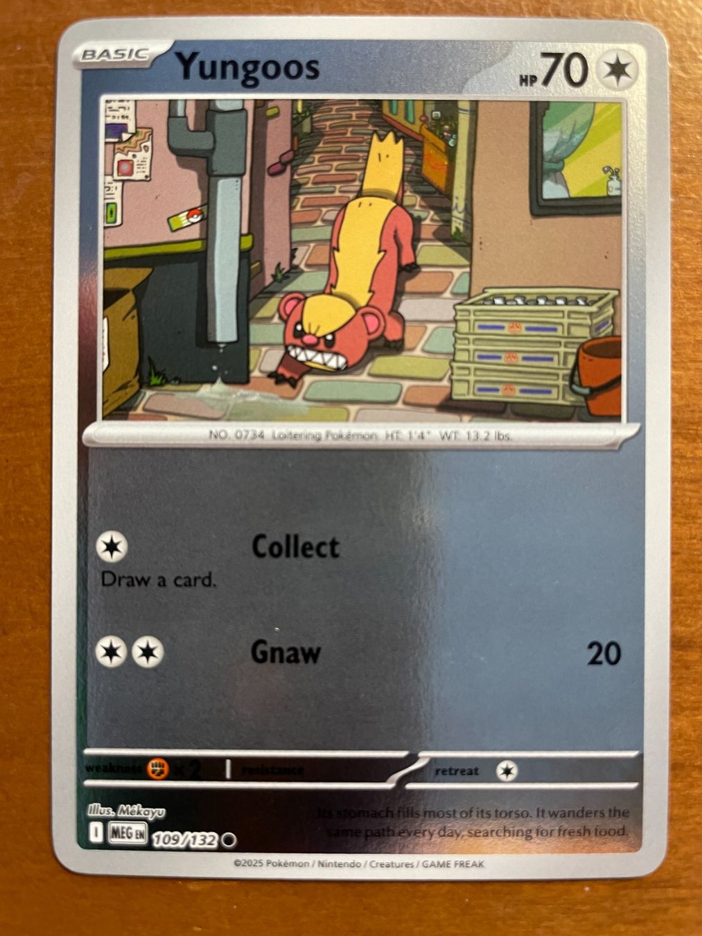 Pokémon Carte collezionabili: Pokemon Yungoos Reverse (Versand gratis) – Nuovo (secondo la descrizione) da Chur venduto da Angerson