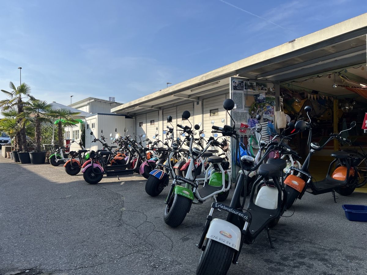 Citycoco Scooter: Fatboy E-Scooter, Citycoco, Elektro Scooter – Nuovo (secondo la descrizione) da Kollbrunn venduto da Rijeka33