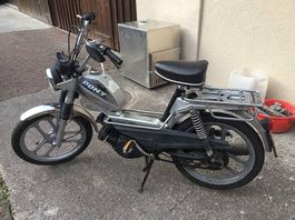 Sachs Pony 503