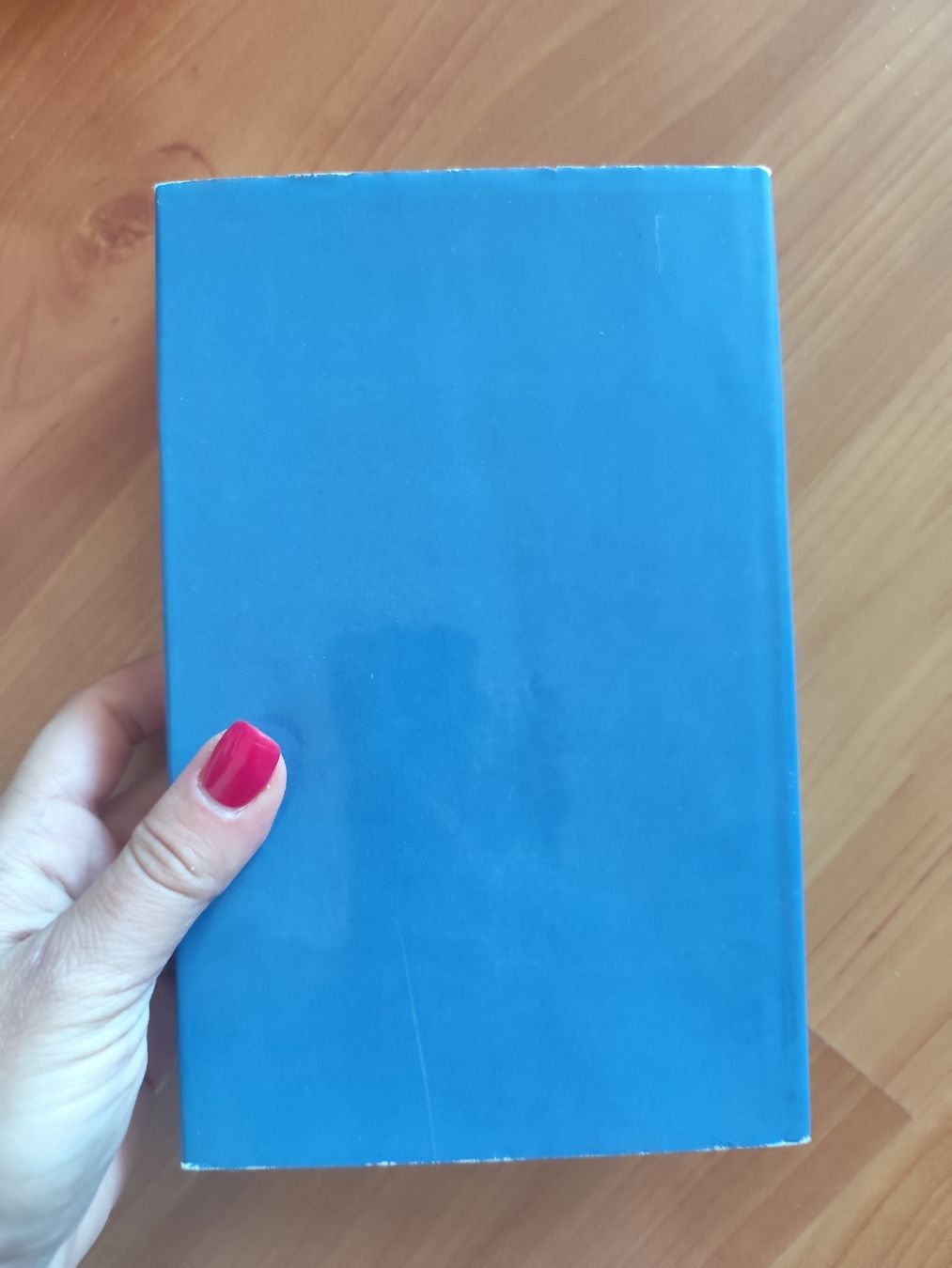 Livres: Buch Der Steppenwolf Hermann Hesse – D'occasion à Mägenwil par VintageGirly 1