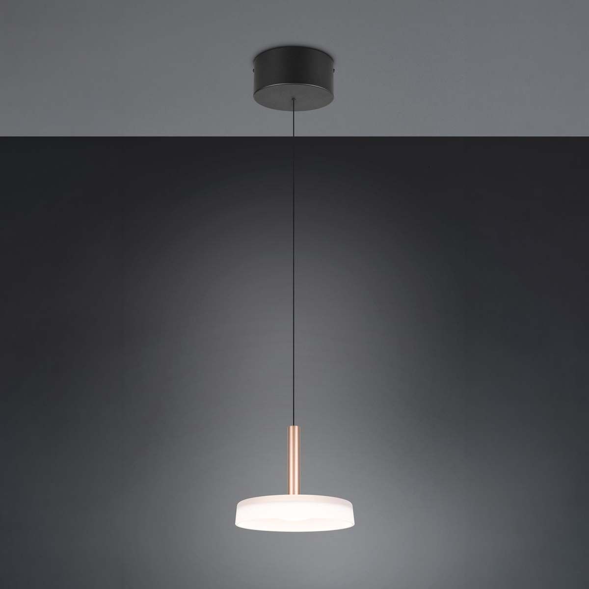 Lampadari & plafoniere: LED Pendelleuchte, Coffee,  22 cm Ø – Nuovo (secondo la descrizione) da Kreuzlingen venduto da Smart-Light