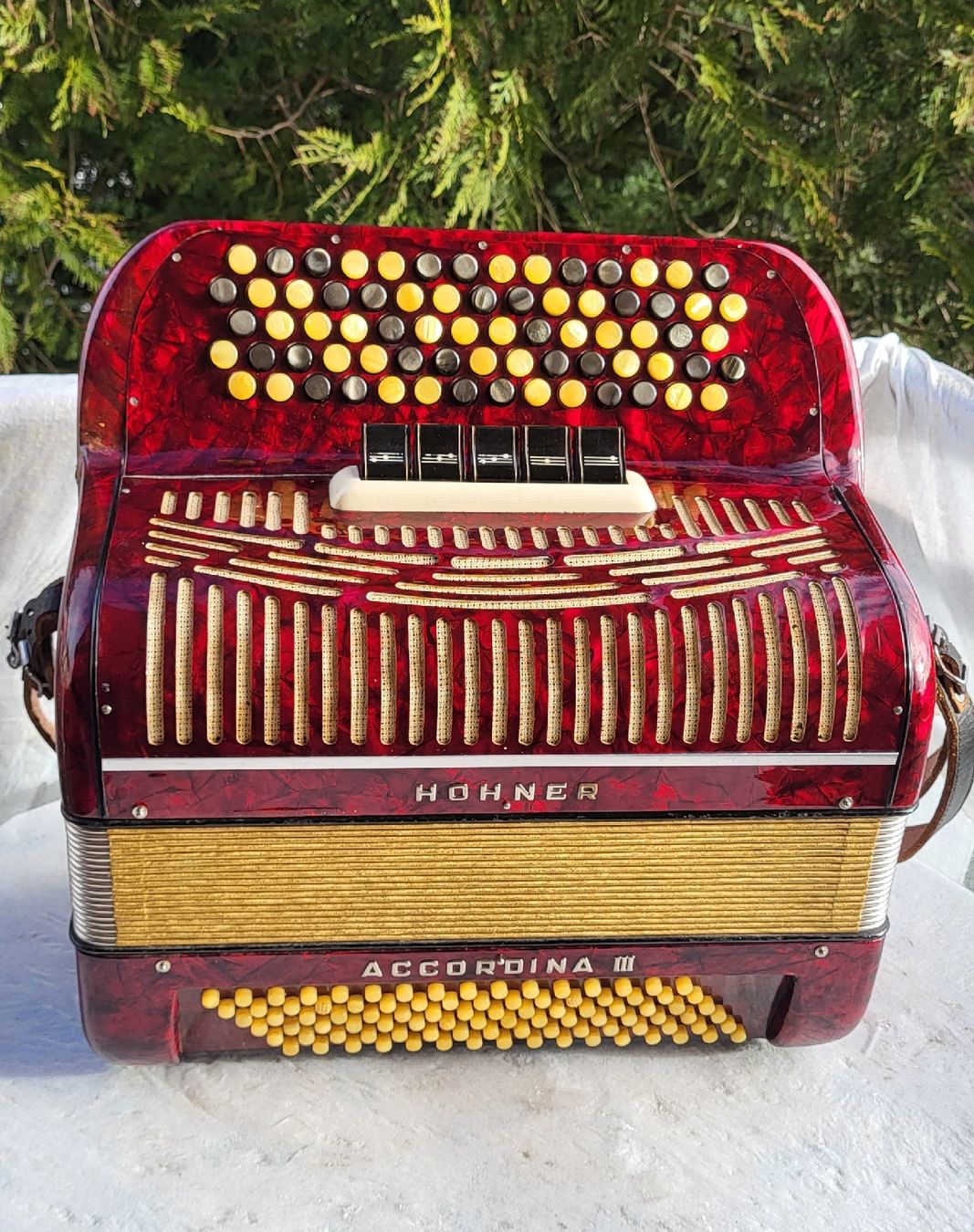 Hohner Musikinstrumente: Accordéon hohner Accordina III – Gebraucht aus Penthalaz von EvandroLuz