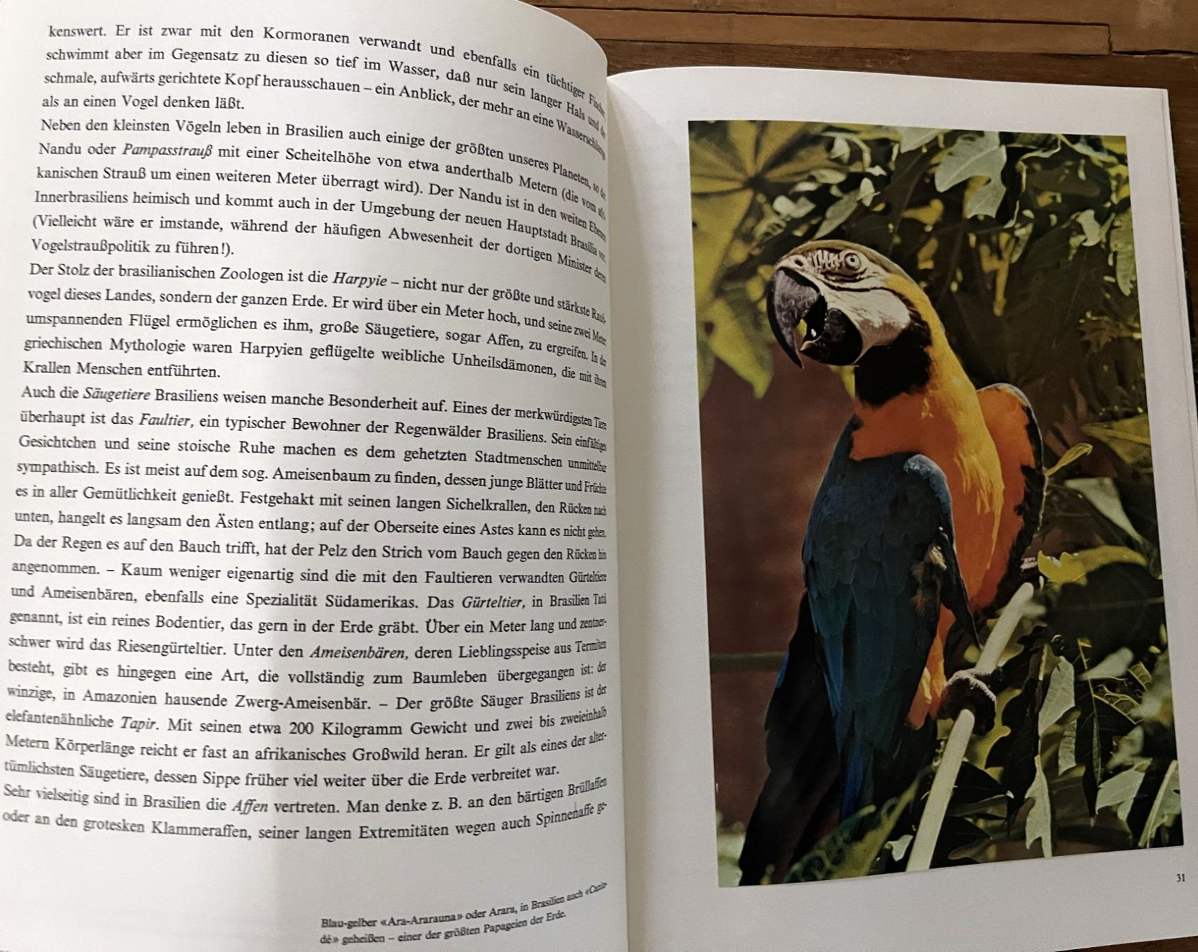 Libri: Silva Verlag, Brasilien , 1964 – Usato da Oftringen venduto da Vucki 6