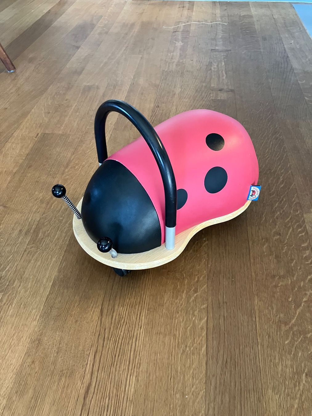 Véhicules pour enfants: Wheely Bug Marienkäfer – D'occasion à Zürich par gintonic08