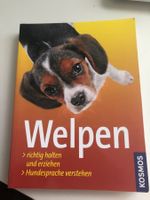 Welpen richtig halten und erziehen - Top Zustand!🐾🐕‍🦺?...