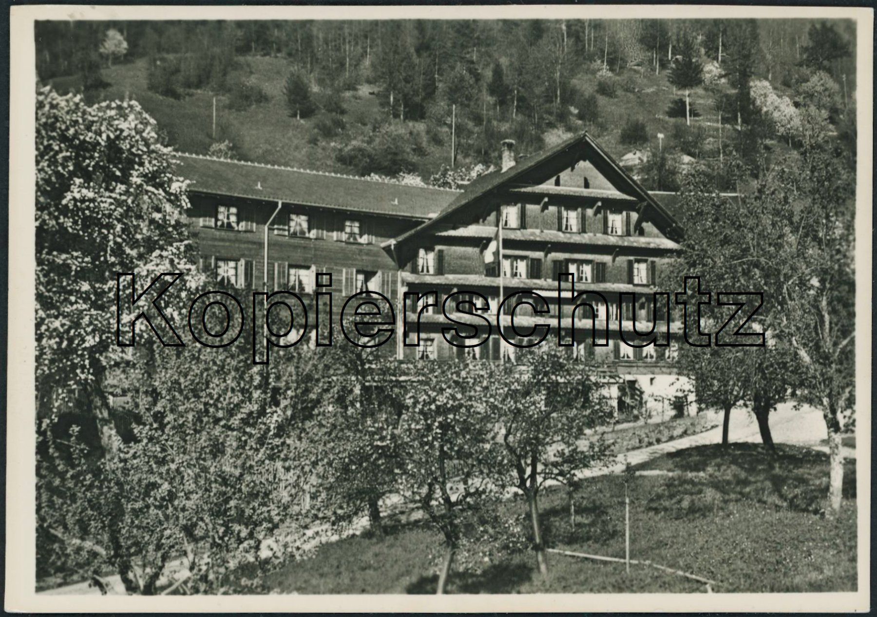 Cartes postales: ZG Walchwil – Neuf (Voir description) à Schindellegi par leecollect