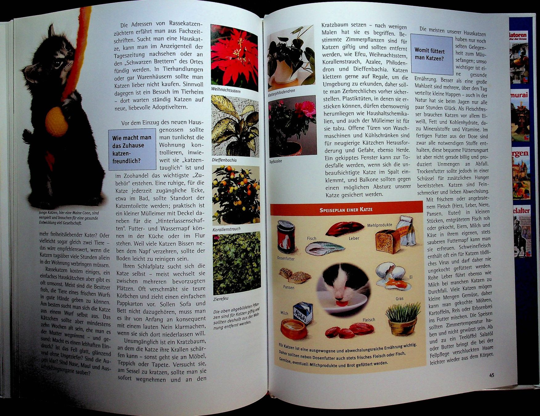 Livres: Was ist was Band 59 Katzen – D'occasion à Reitnau par Zaomir 9