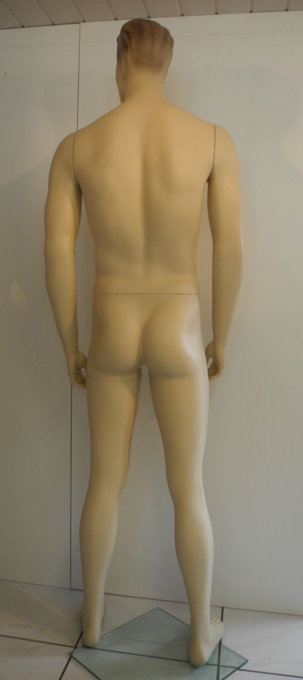 Altro in Decorazioni & Accessori: Schaufensterpuppe / Mannequin antik "Ken" – Usato da Kottwil venduto da Crazyrolf 6