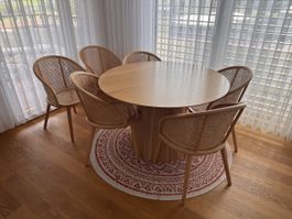 Esstisch mit 6 Stühlen Holz Rattan hell sehr guter Zustand