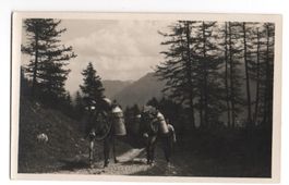 ENGADIN Milchtransport mit Maultieren