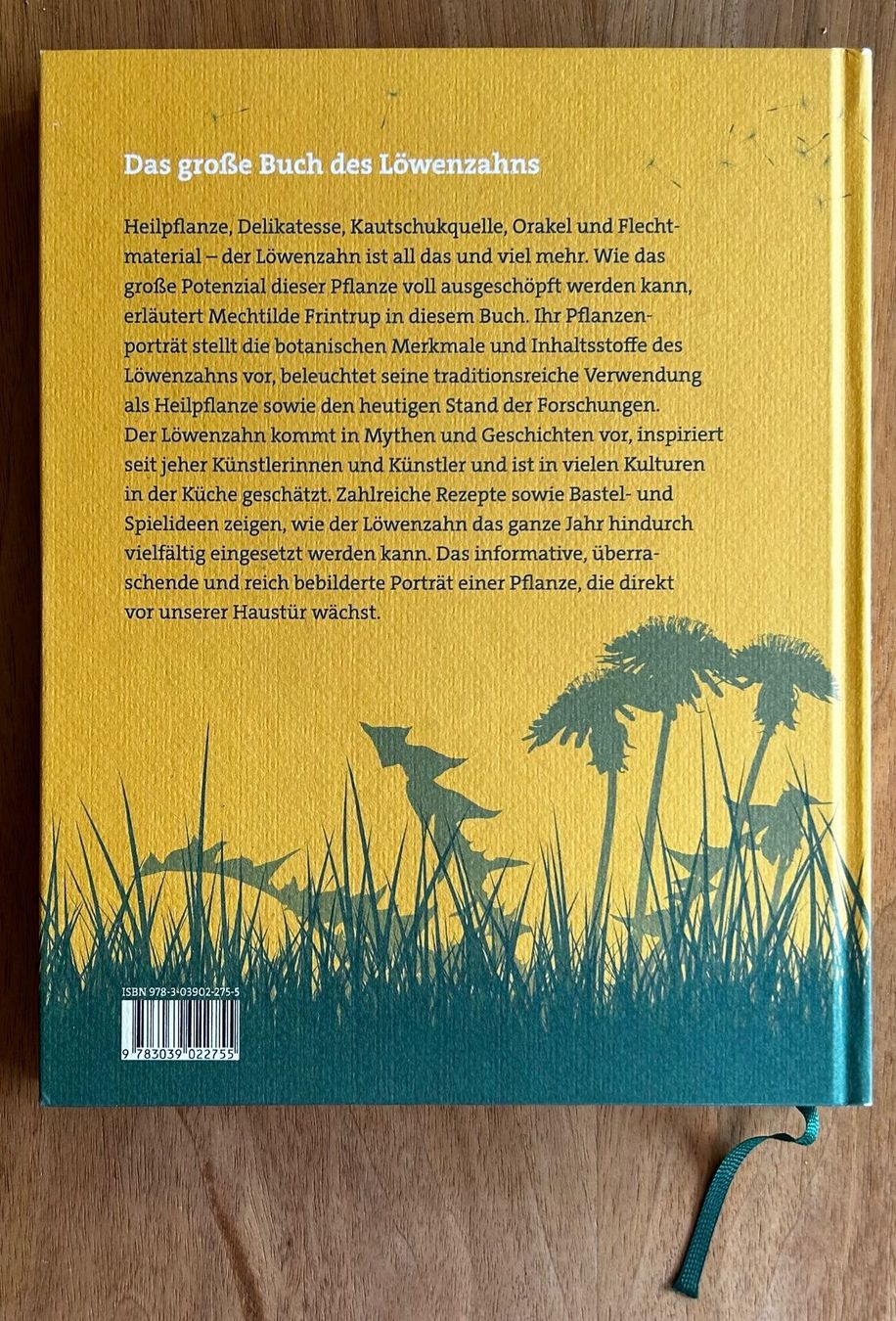 Bücher: «Das Löwenzahn-Buch» – Neu (gemäss Beschreibung) aus Lichtensteig von VonSteinegg 2