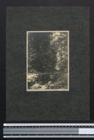 Fotografie Welzheim, Bachlauf im Welzhei