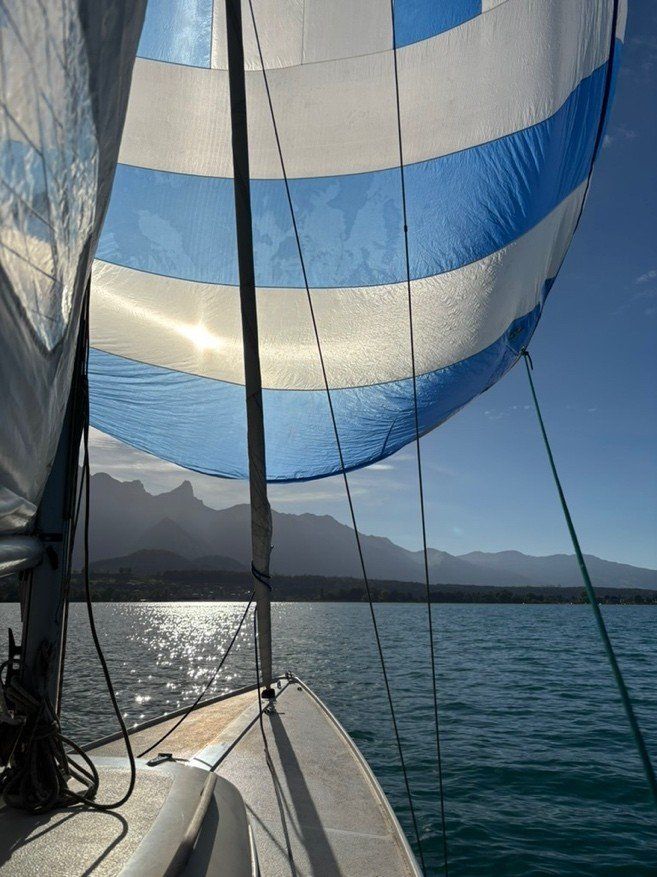 Elvström Boote: Segelboot H Boot "Diva" BE 3150 – Gebraucht aus Gurzelen von Air15 5