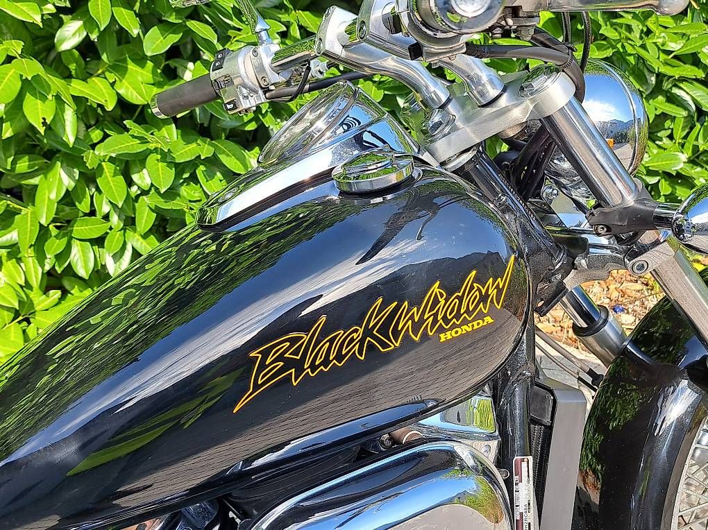 Honda Chopper: Honda VT750DC Black Widow – Usato da Igis venduto da holzchistli 3