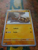 POKEMON  Praktibalk     I  BLK DE   047/086    KP70   2025